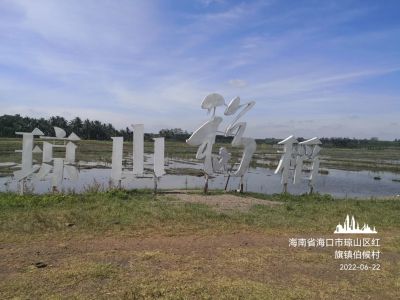 大連凱飛化學股份有限公司一行到海口考察瓊山福稻，現場確定試驗方案